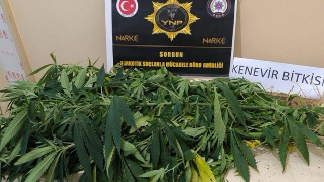 Yozgat'ta uyuşturucu operasyonlarında 8 şüpheli yakalandı