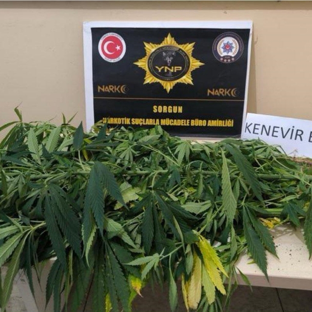 Yozgat'ta uyuşturucu operasyonlarında 8 şüpheli yakalandı