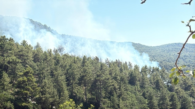 Antalya'nın Kaş ilçesindeki ormanda çıkan yangına müdahale ediliyor