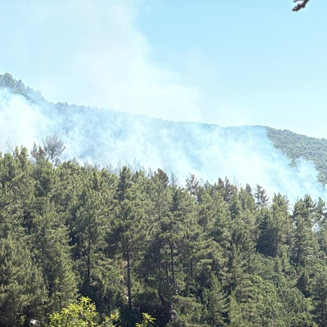 Antalya'nın Kaş ilçesindeki ormanda çıkan yangına müdahale ediliyor