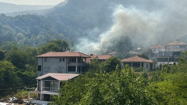 Sakarya Geyve'de yeni orman yangını (4)
