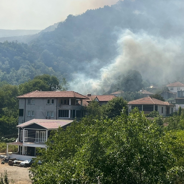 Sakarya Geyve'de yeni orman yangını (4)