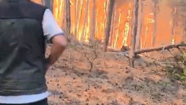 Şube müdürünün, alevlerin arasında kalan orman bölge müdürü ve ekibini kurtarma çabası kamerada