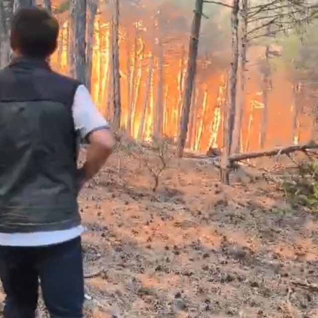 Şube müdürünün, alevlerin arasında kalan orman bölge müdürü ve ekibini kurt...