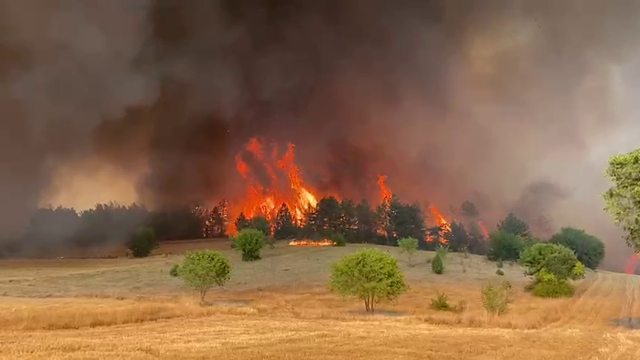 Safranbolu'da orman yangını
