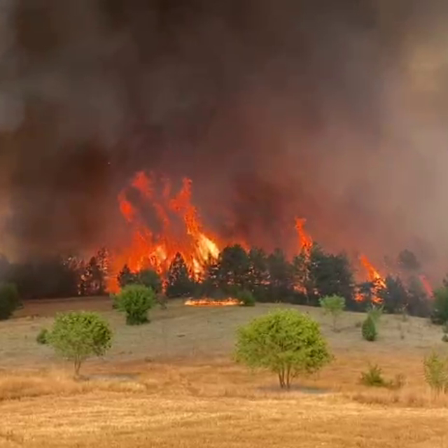 Safranbolu'da orman yangını