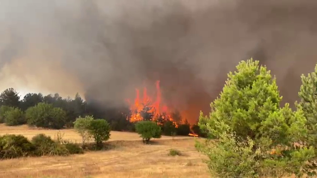 Safranbolu'da orman yangını (2)