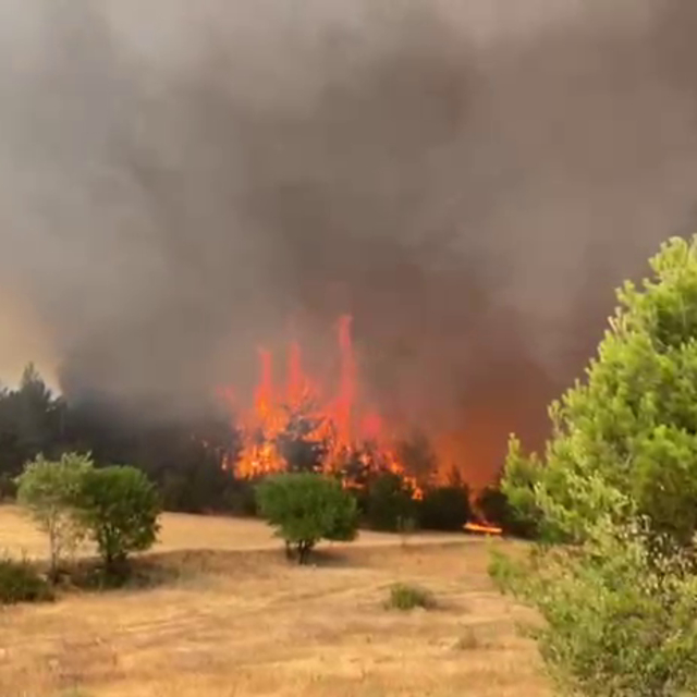 Safranbolu'da orman yangını (2)