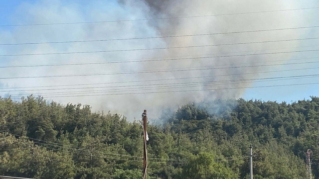 Manisa'da orman yangını