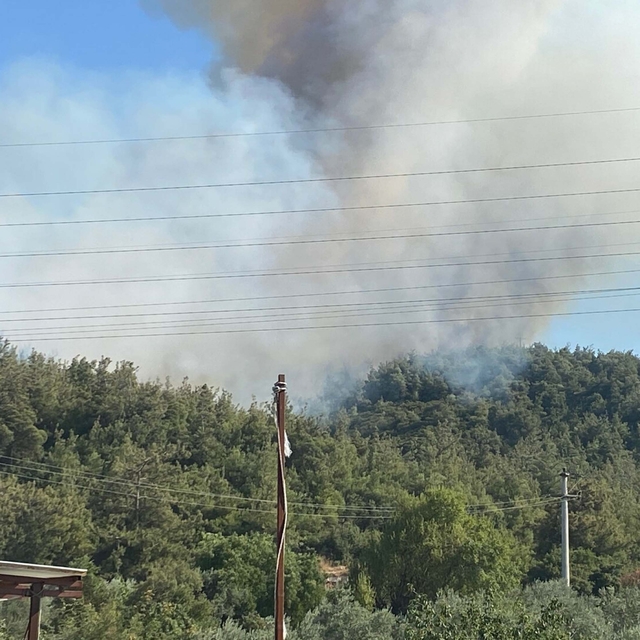 Manisa'da orman yangını