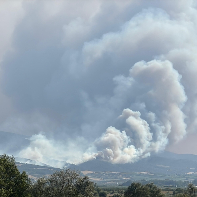 Sakarya Geyve'de yeni orman yangını (5)