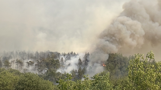 GÜNCELLEME - Karabük'te ormanlık alanda çıkan yangına müdahale ediliyor
