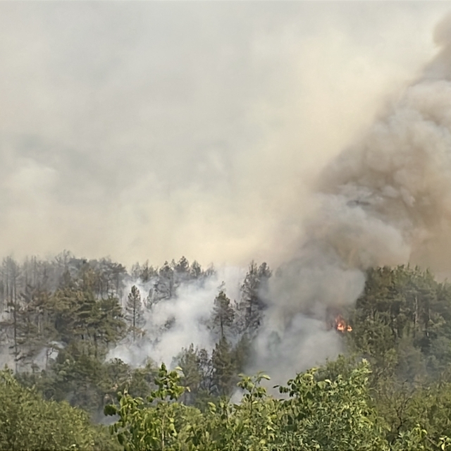GÜNCELLEME - Karabük'te ormanlık alanda çıkan yangına müdahale ediliyor