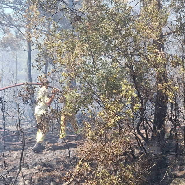 Antalya'da orman yangını (2)