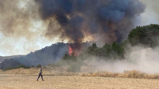 Eskişehir'deki orman yangını 2'nci gününde (3)