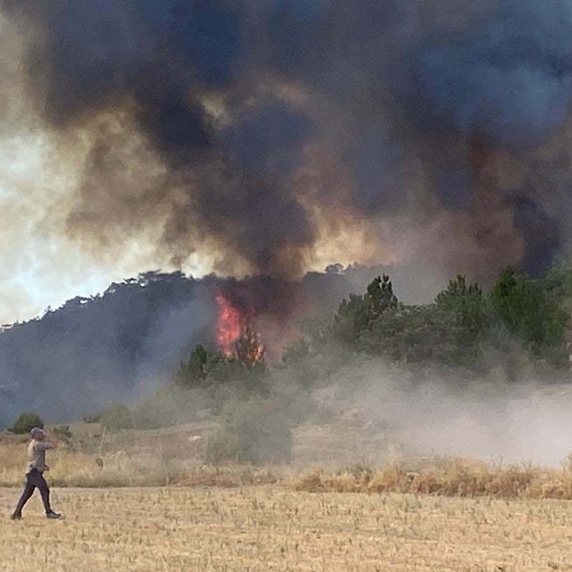 Eskişehir'deki orman yangını 2'nci gününde (3)