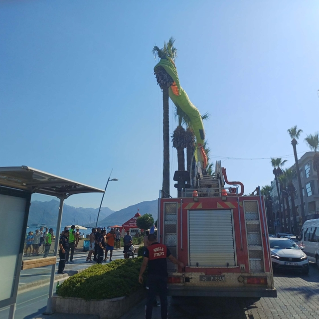 Marmaris'te deniz paraşütü ağaca takıldı; 2 kişi kurtarıldı