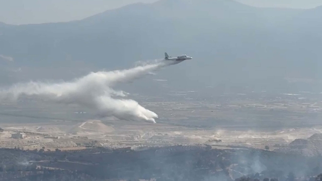 Denizli'de maki yangını (2)