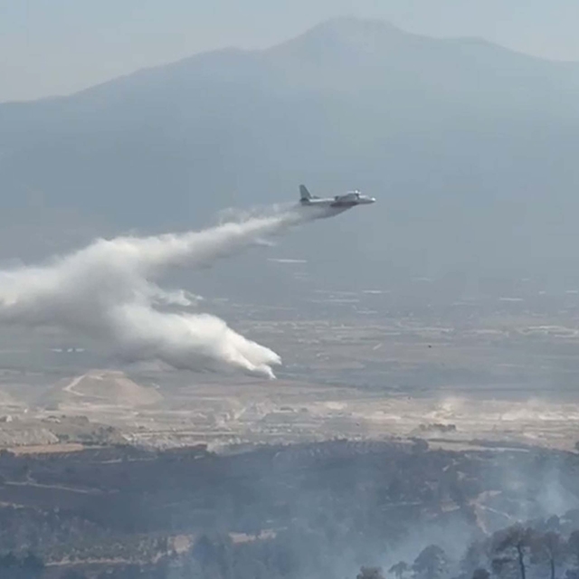 Denizli'de maki yangını (2)