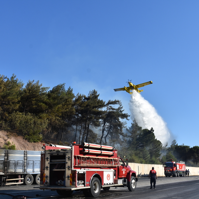 İzmir'de tırda başlayarak ormana sıçrayan yangın büyümeden kontrol altına a...