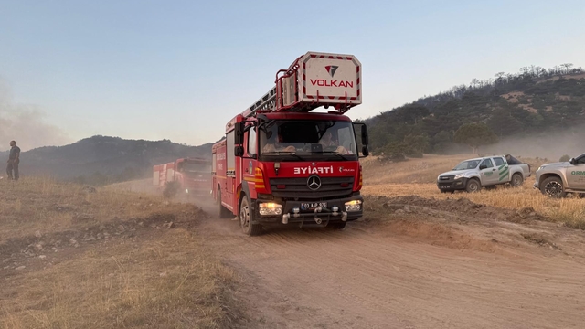 Eskişehir'de çıkan orman yangını Afyonkarahisar'a sıçradı