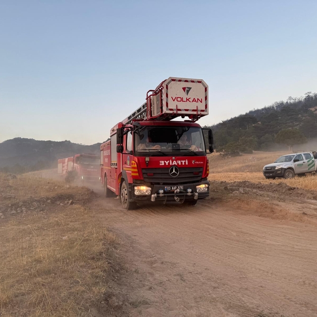 Eskişehir'de çıkan orman yangını Afyonkarahisar'a sıçradı