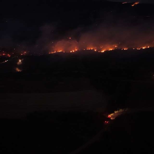 Sakarya'da çıkan orman yangınına müdahale sürüyor