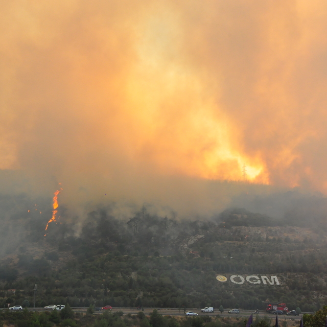 Manisa'da orman yangını (3)