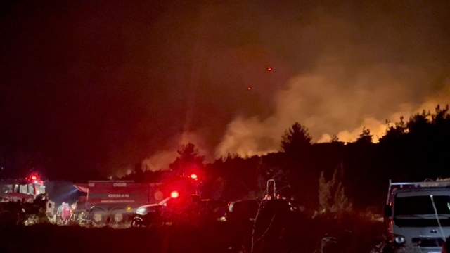 Sakarya Geyve'de yeni orman yangını (7)