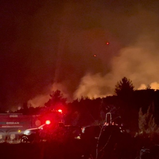 Sakarya Geyve'de yeni orman yangını (7)