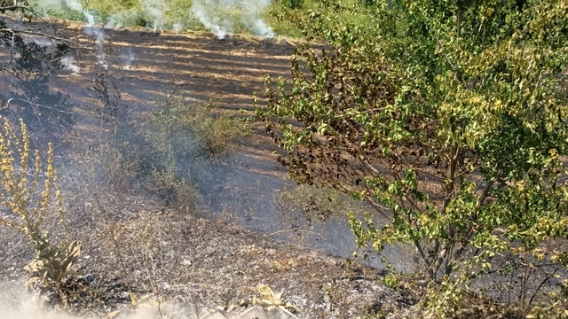 Tokat'ta çıkan anız yangınında yaklaşık 6 dönümlük alan zarar gördü