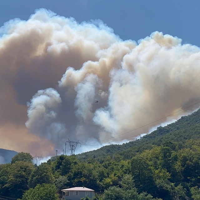 Sakarya Geyve'de yeni orman yangını (8)
