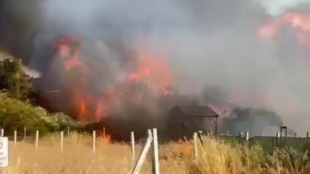 İzmir'de tarım arazisindeki yangında 8 ev zarar gördü