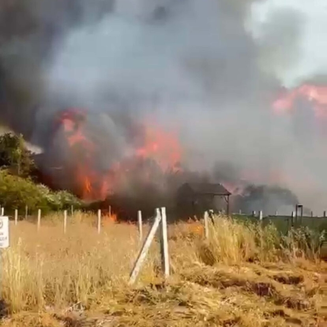 İzmir'de tarım arazisindeki yangında 8 ev zarar gördü