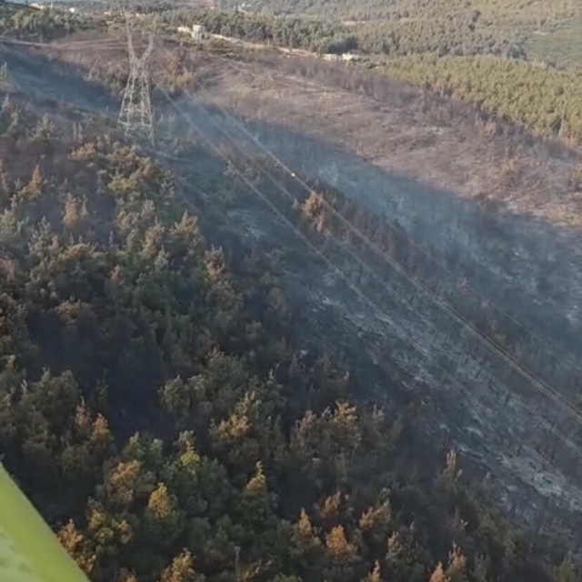 Manisa'daki orman yangını 2'nci gününde