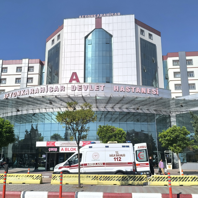 Afyon'da orman yangınına müdahale sırasında yaralanan 5 kişi taburcu edildi