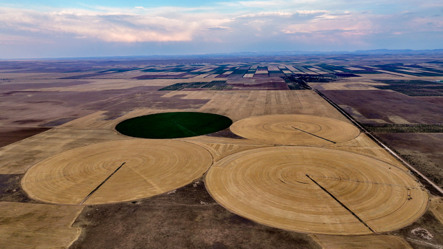 Konya'nın devasa dairesel tarlalarında hasat tamamlandı