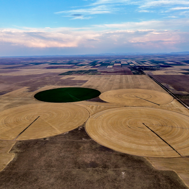 Konya'nın devasa dairesel tarlalarında hasat tamamlandı