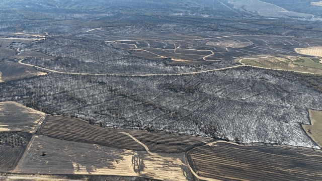 Tekirdağ yangınında alevlerin sıçradığı Çanakkale'de 85 hektar orman zarar gördü