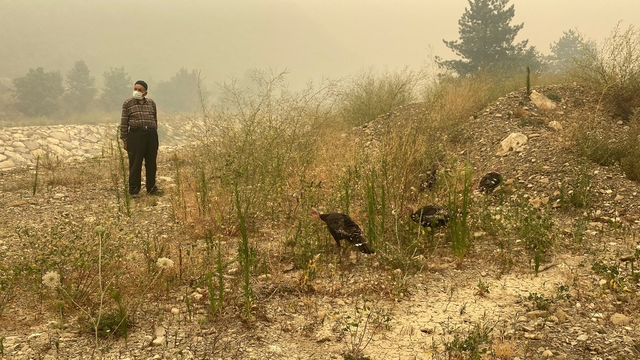 Karabük'teki orman yangınlarına müdahale sürüyor