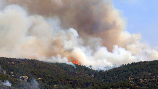 Eskişehir'de çıkan orman yangını, 3'üncü günde Afyonkarahisar'da sürüyor