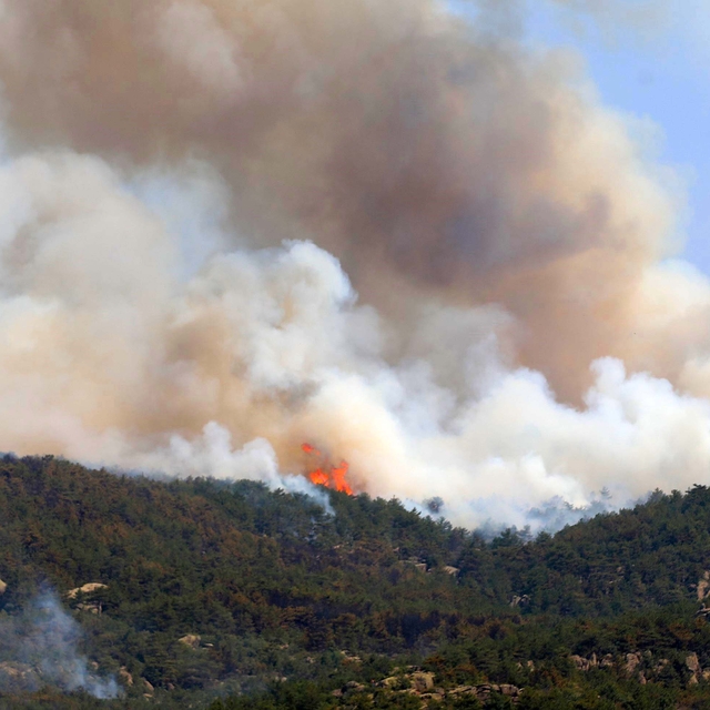 Eskişehir'de çıkan orman yangını, 3'üncü günde Afyonkarahisar'da sürüyor