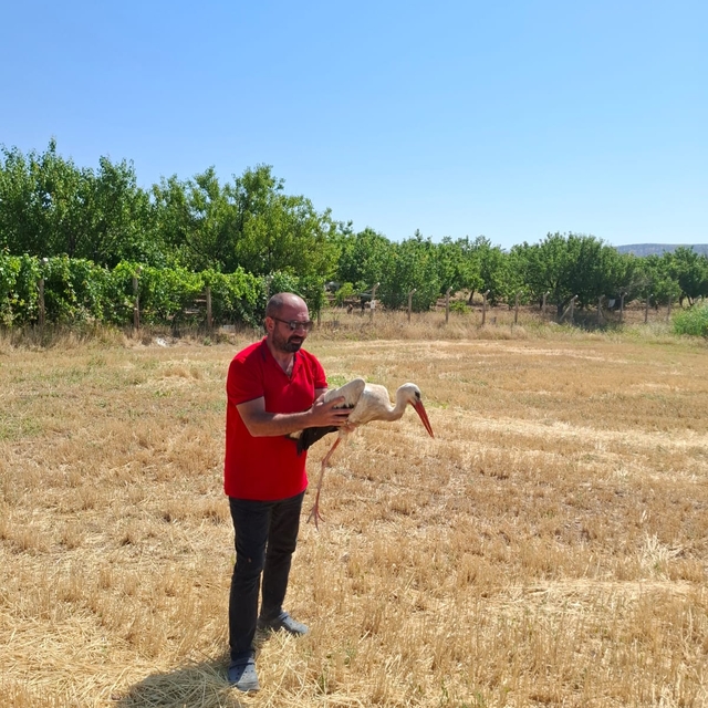 Kırıkkale'de ayağına misina dolanan leyleği çiftçi kurtardı