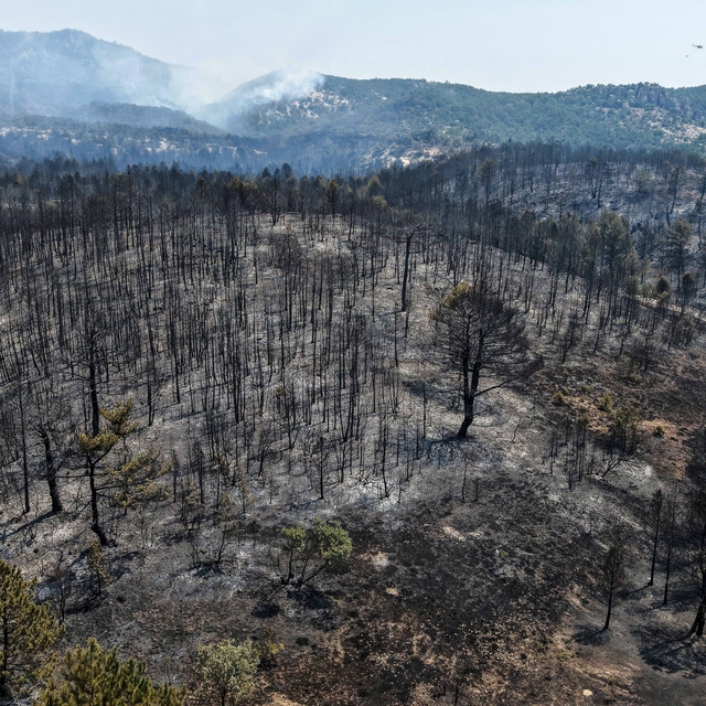 Eskişehir'de çıkan orman yangını, 3'üncü günde Afyonkarahisar'da sürüyor (2...
