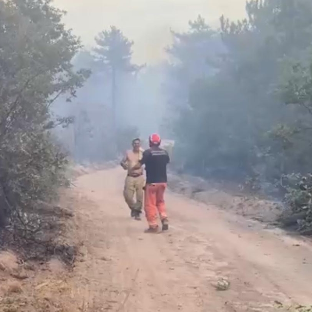 Dün yangında yaralanan orman işçisi yoğun bakıma alındı