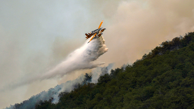 Eskişehir'de çıkan orman yangını, 3'üncü günde Afyonkarahisar'da sürüyor (3)