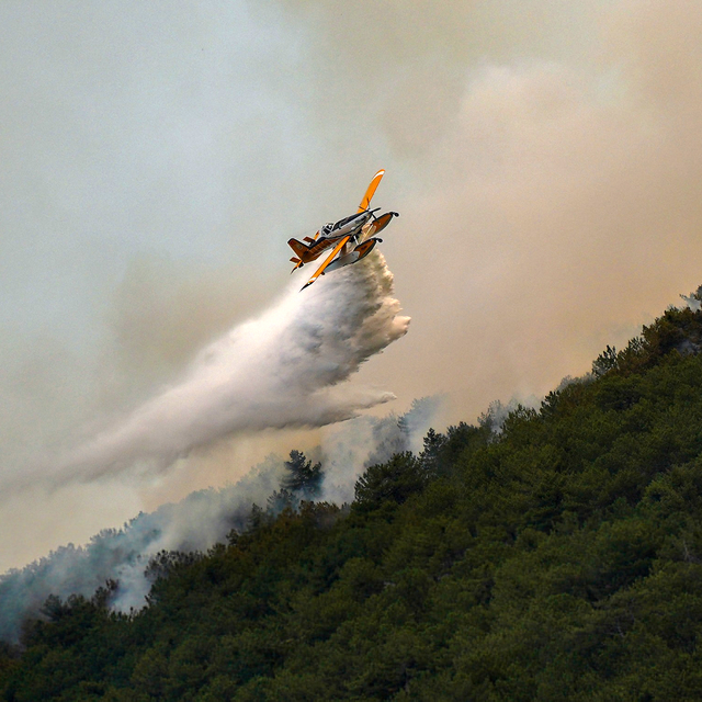 Eskişehir'de çıkan orman yangını, 3'üncü günde Afyonkarahisar'da sürüyor (3...