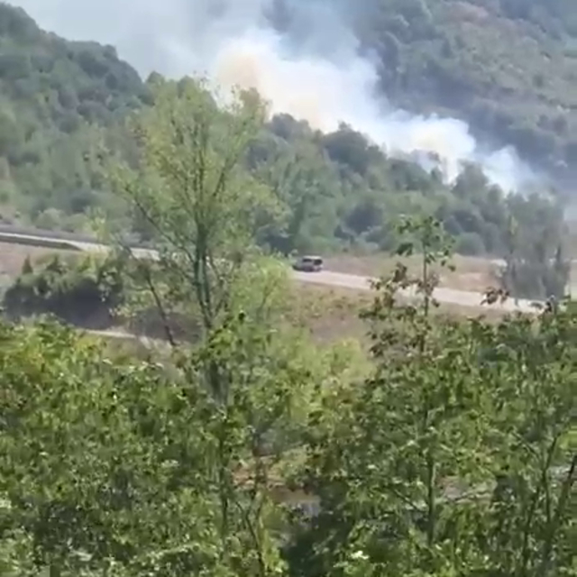 Bartın'da orman yangını büyümeden söndürüldü