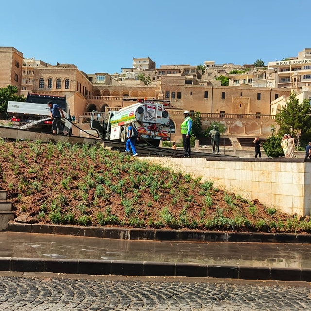 Mardin'de bazı noktalara lavanta dikildi