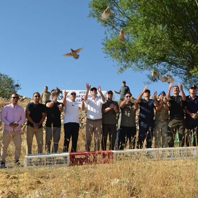 Kahramanmaraş'ta 200 keklik doğaya bırakıldı